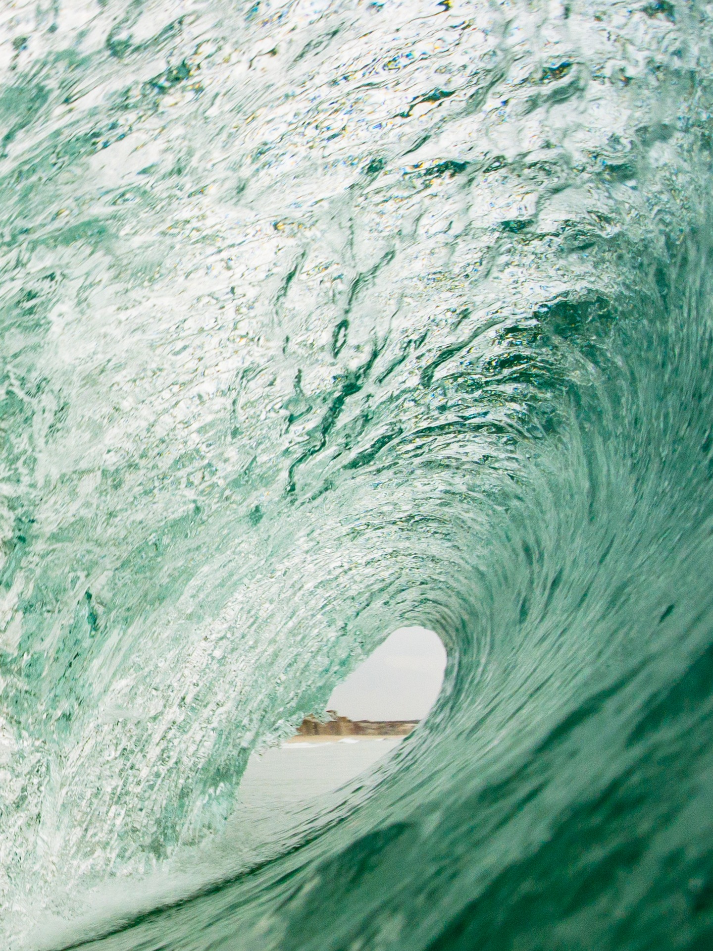 green-wave-of-eco-business
